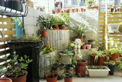 养花有什么真正的乐趣 养花让人的生活充满享受过程