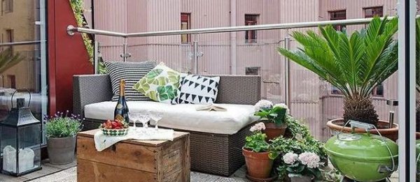 养花有什么真正的乐趣