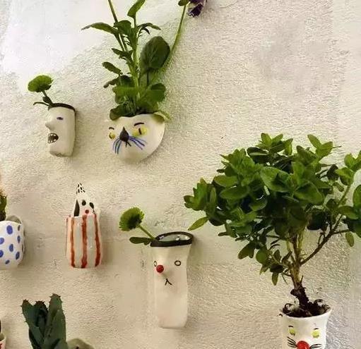 养花有什么真正的乐趣