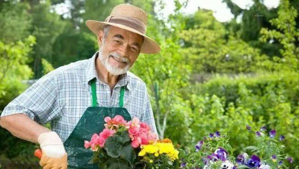 养花有什么真正的乐趣