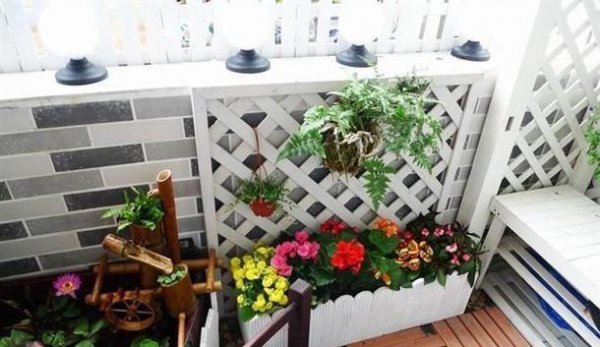 养花有什么真正的乐趣