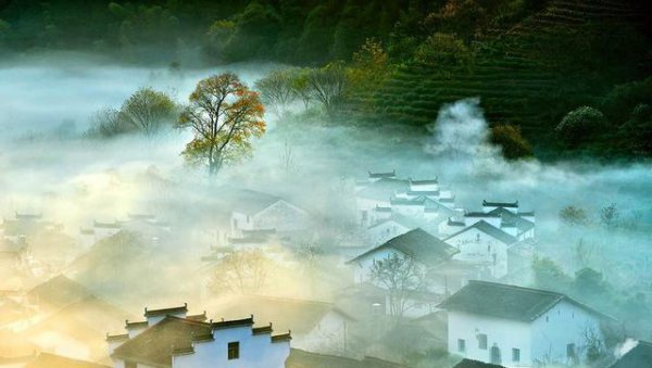 农村烧柴和城市烧气哪个危害最小