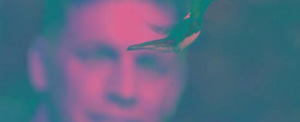 世界上最小的鸟叫什么名字