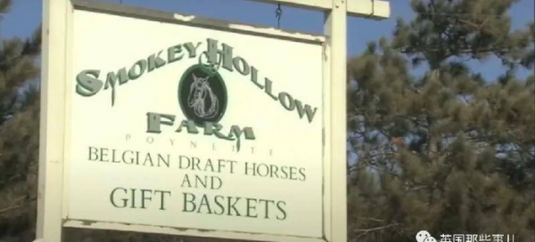 世界上最大的马品种有多大