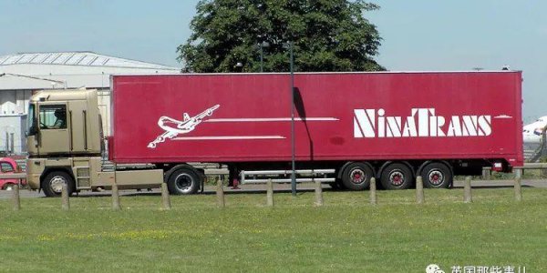 世界上最大的马品种有多大