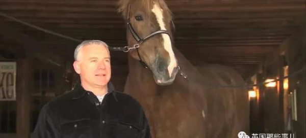 世界上最大的马品种有多大