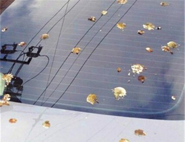 汽车停在地下车库好还是地面好