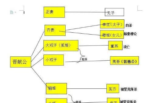 骊姬为何要针对申生重耳和夷吾