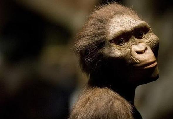 人类第一个祖先是男的还是女的