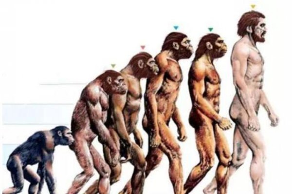 人类第一个祖先是男的还是女的