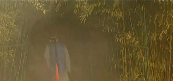 邬思道有老婆吗