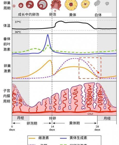 一点小事就暴躁情绪崩溃是什么病