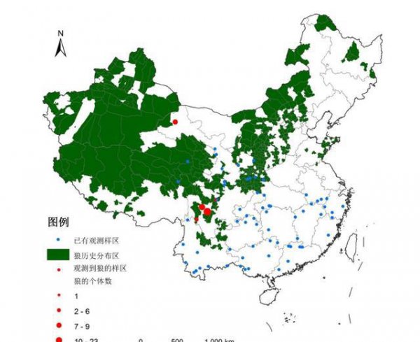 中国哪些地方有狼出没