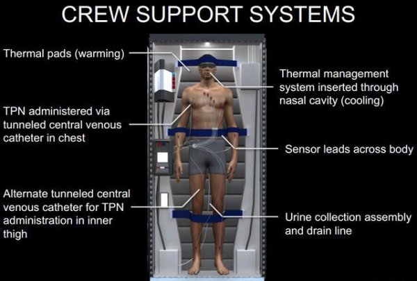 被冷冻人还能再复活吗