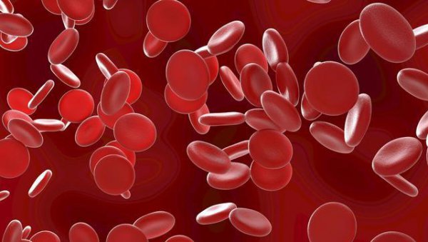 人类最早什么时候开始吃盐