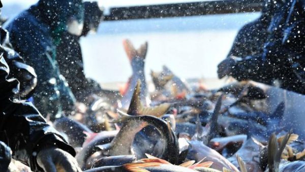 人类最早什么时候开始吃盐