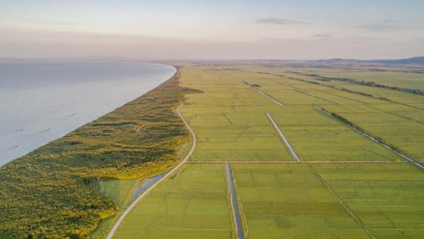 东北一年一熟为什么会是粮仓