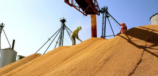 东北一年一熟为什么会是粮仓