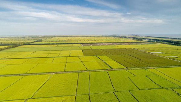 东北一年一熟为什么会是粮仓