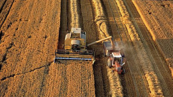 东北一年一熟为什么会是粮仓