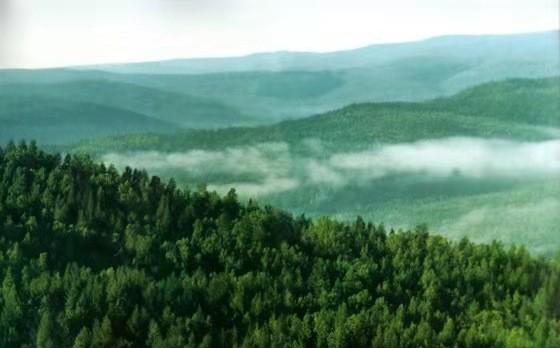 中国现在最原始森林在哪里