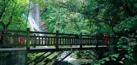 中国现在最原始森林在哪里