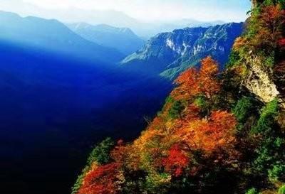 中国现在最原始森林在哪里