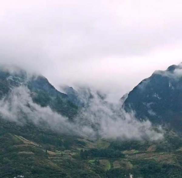 中国现在最原始森林在哪里