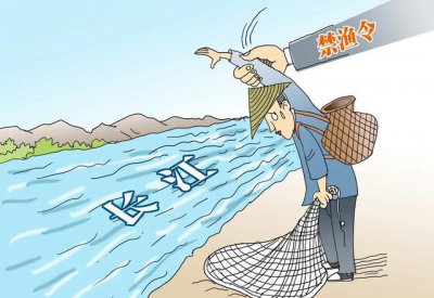 长江禁渔十年原因 长江禁渔保护的不只是鱼开始恢复资源