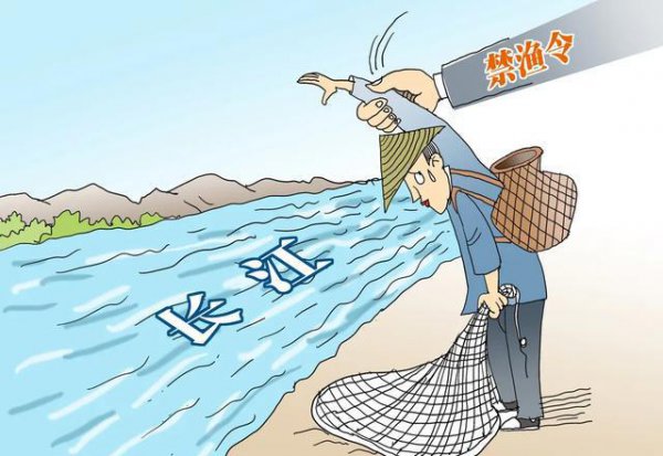 长江禁渔十年原因