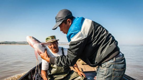 长江禁渔十年原因