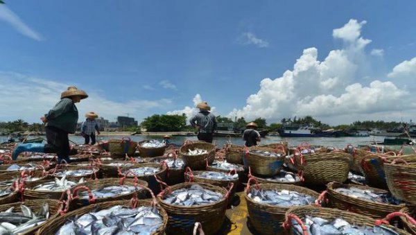 长江禁渔十年原因