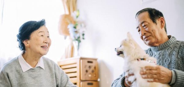 父母不在了兄弟姐妹还来往吗