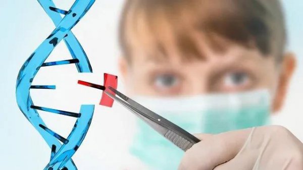 未来500年后地球会发生什么