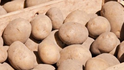 超市里的菜都用药水泡了吗 蔬菜有药水用水浸泡能去除吗