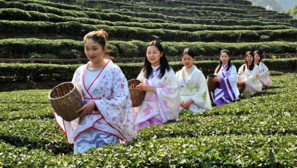 泡茶叶第一道水是不是要倒掉