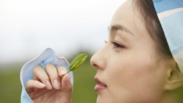 泡茶叶第一道水是不是要倒掉