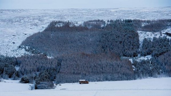 为什么东北人全家都睡一个炕上