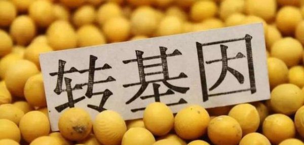 种子公司的种子为什么不能留种