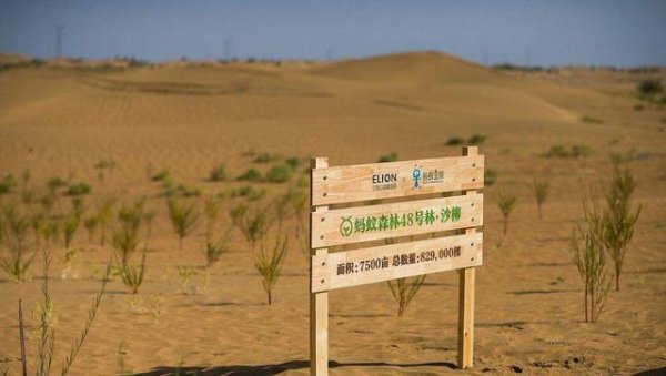 沙漠种树会造成地下水下降吗