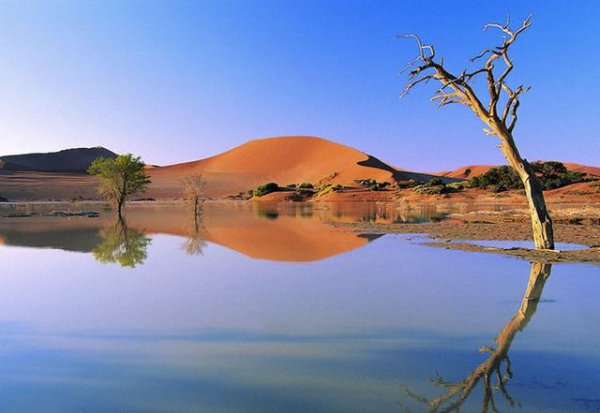 沙漠种树会造成地下水下降吗