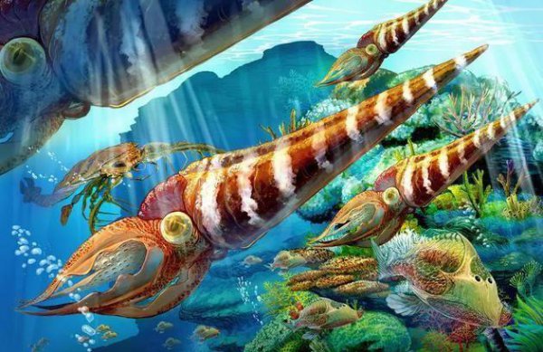 哪种动物躲过了五次大灭绝