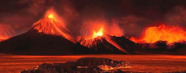 哪种动物躲过了五次大灭绝