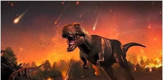 哪种动物躲过了五次大灭绝