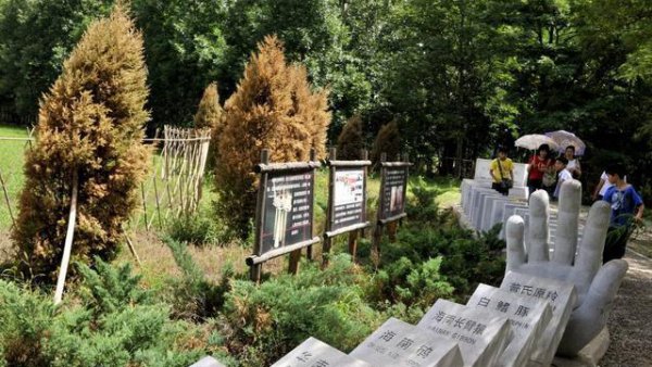 哪种动物躲过了五次大灭绝