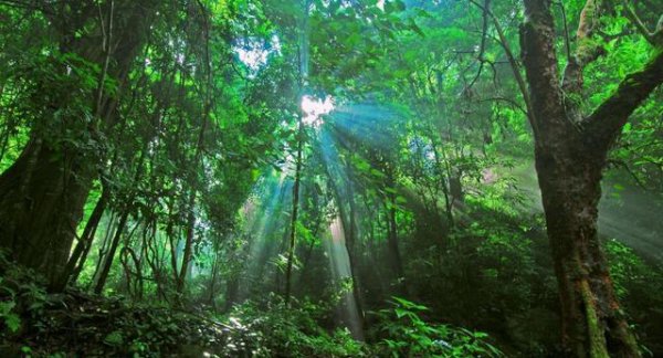 为什么热带地区无强国