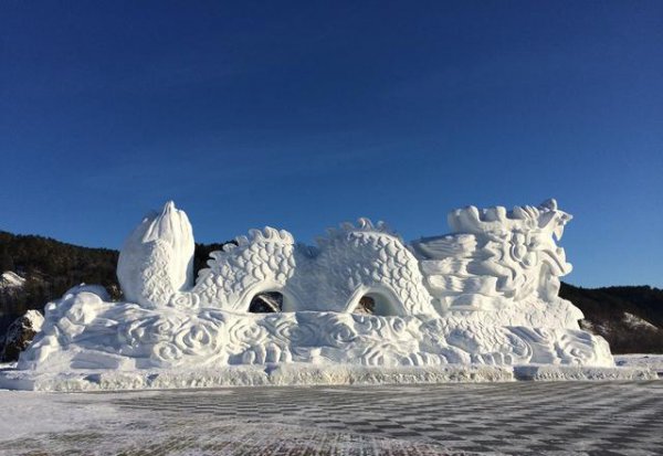 有哪些令人震惊的冷知识