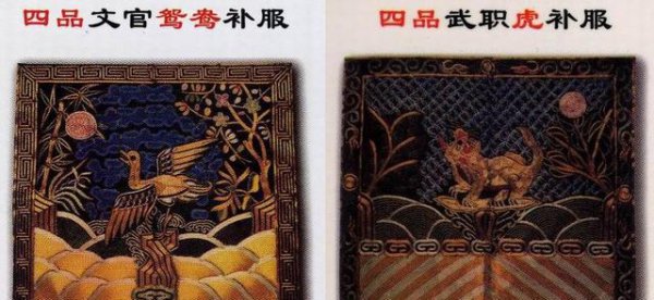 有哪些令人震惊的冷知识