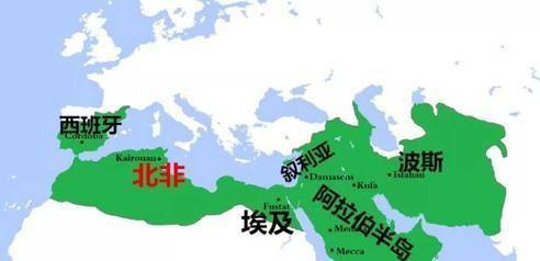 唐代安禄山是哪里人