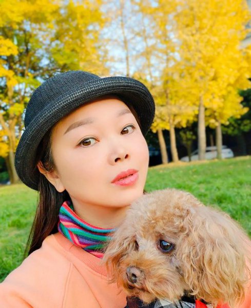 养泰迪是一种什么体验